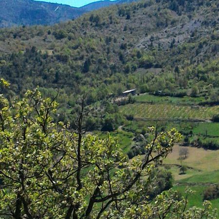 Ferme La Viste Villa La Roche-sur-le-Buis Eksteriør billede