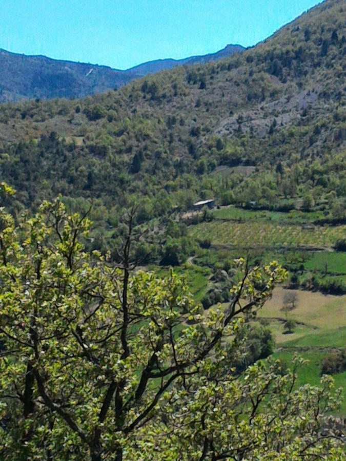 Ferme La Viste Villa La Roche-sur-le-Buis Eksteriør billede